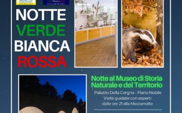 Apertura straordinaria del Museo il 2 agosto 2025 in occasione de “La Notte Verde, Bianca e Rossa”